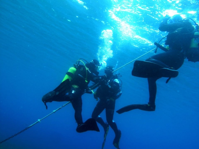  Diving with friends 